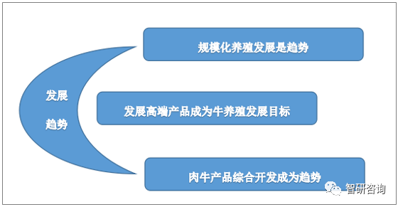 新澳2025最新资料大全及其决策资料解释定义详解