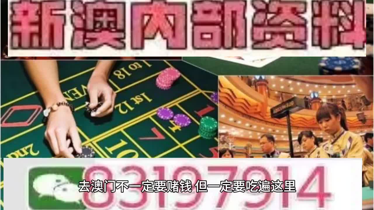 探索新澳门，2025年天天免费精准大全的实证释义、解释与落实