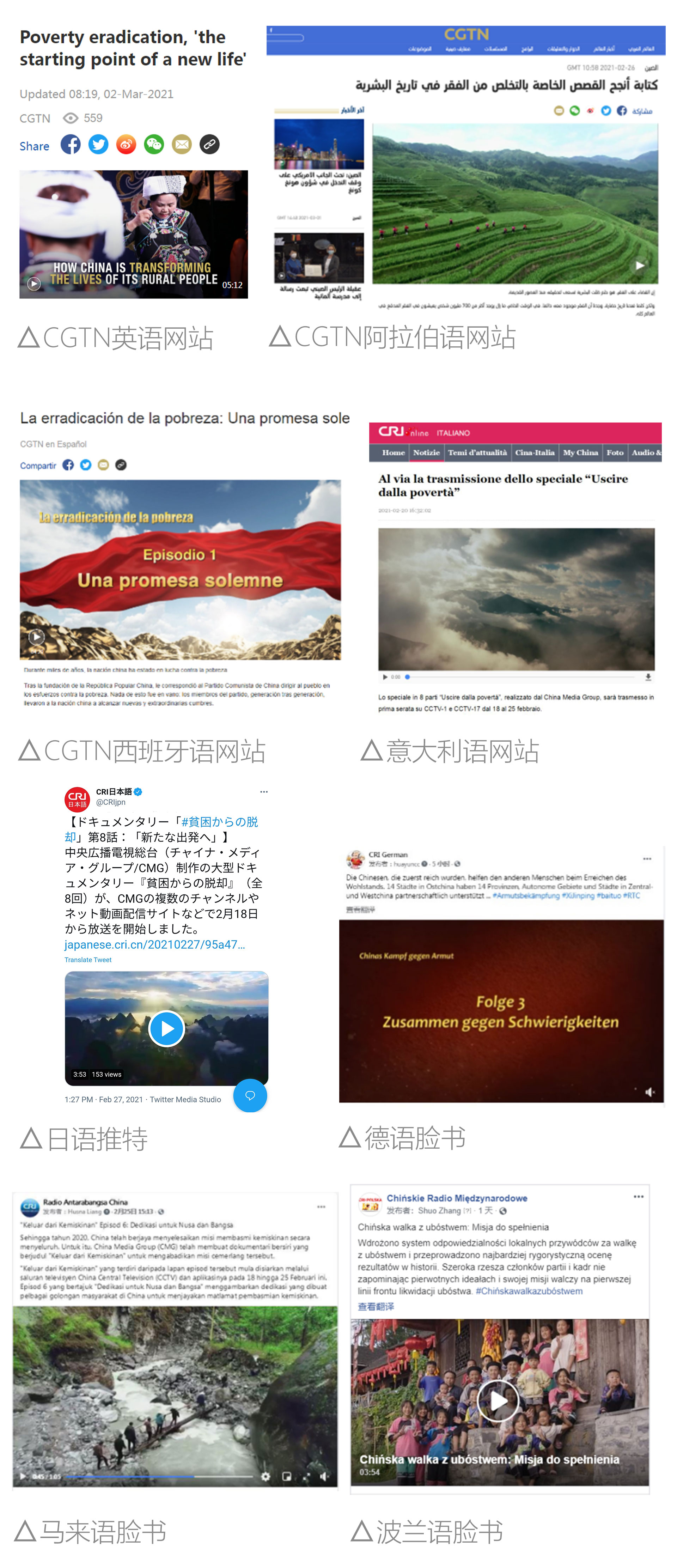 三肖必中三期必出，深度解析、精准解释与实践落实