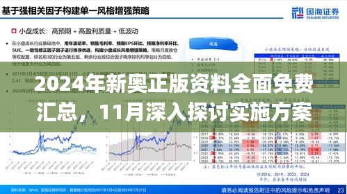 新澳2025精准正版免费资料，实时解答、解释与落实的策略