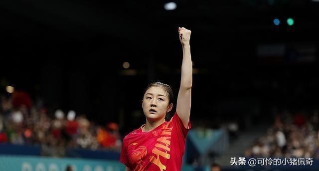 新澳门2024年正版免费公开全面释义、解释与落实策略