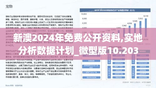 公开新澳2025最精准分析与落实策略