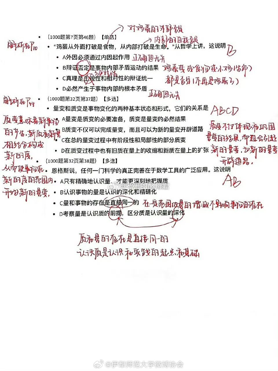 一肖一码一一肖一子，全面释义、解释与落实