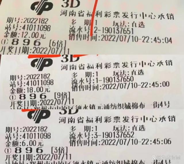 探索未来彩票世界，2025年天天彩免费资料与澳门天天精准好彩的24码解析