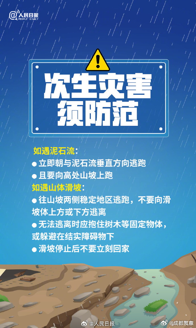 新澳门精准免费大全，一网打尽攻略秘籍