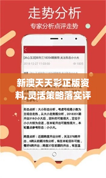 澳彩资料免费长期公开，精选答案的落实与全新版本探索