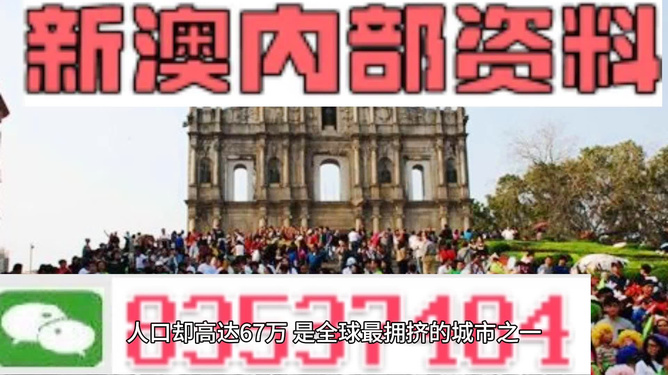 探索未来之门，解析与落实澳门精准免费大全（精选版）