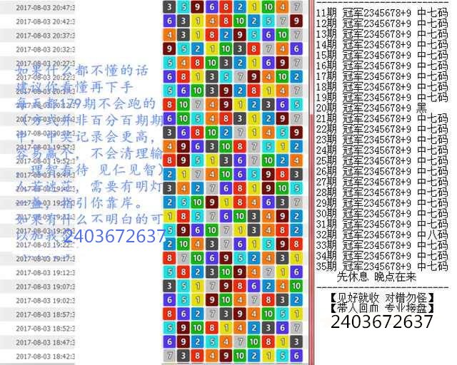 澳门王中王100%期期中，深度解析与实际应用