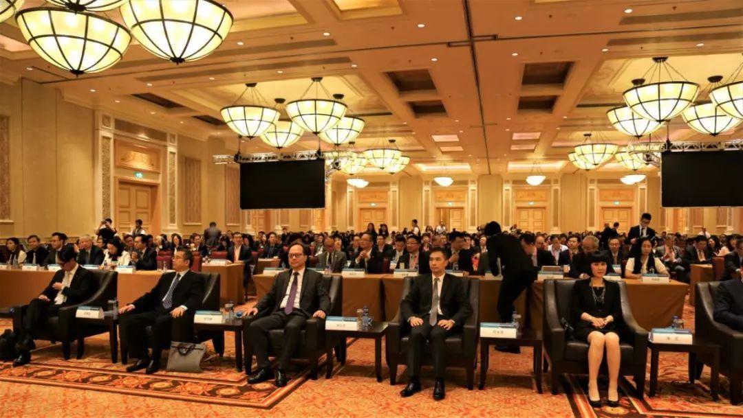 探索未来，澳门新机遇下的精准免费服务全面释义与落实策略
