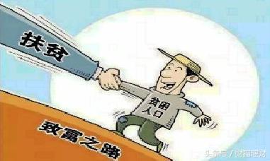 警惕虚假宣传，精准四肖背后的真相与解释落实的重要性