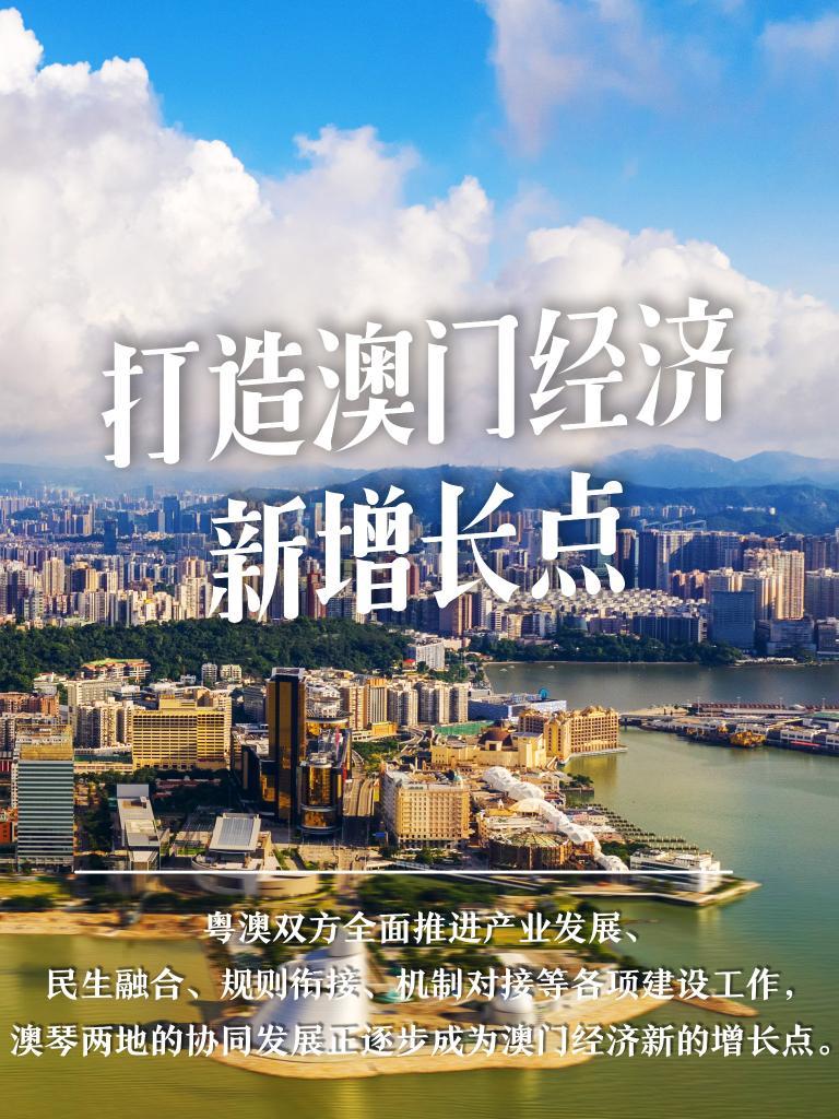 新时代下的澳门与香港，正版免费、广东释义与具体落实