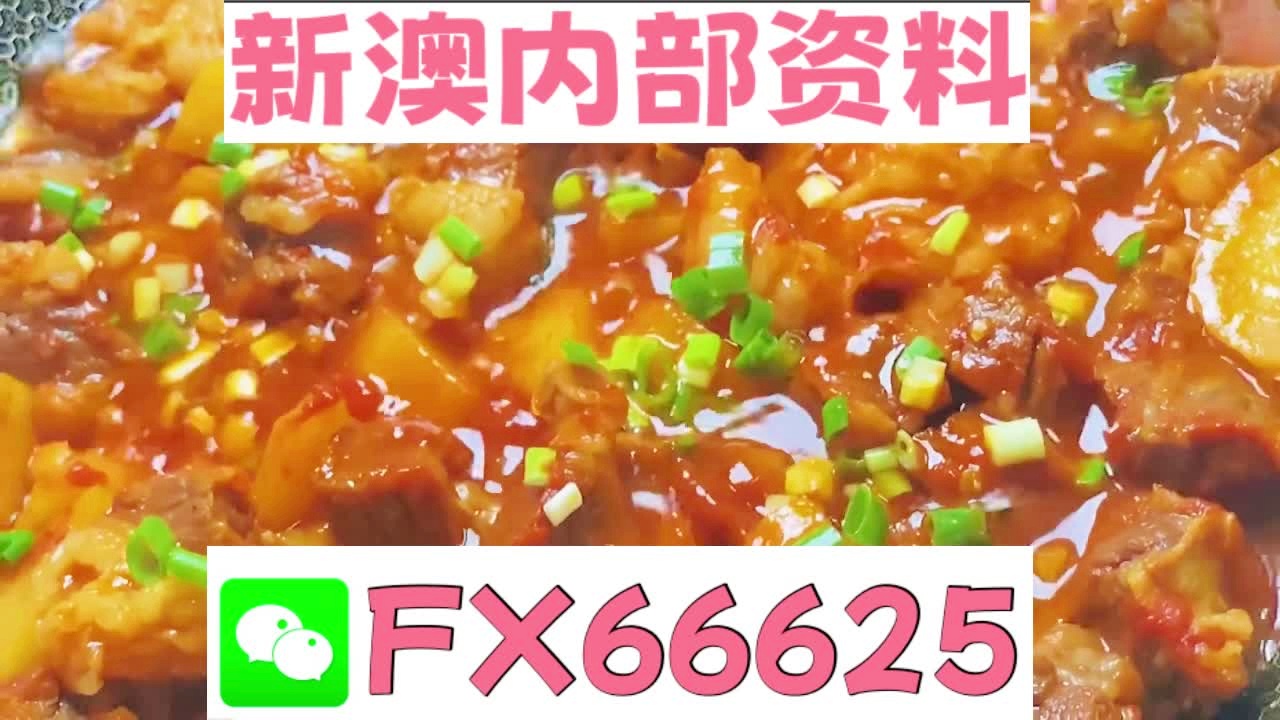 新澳2025资料大全经典版，高效回顾方案与免费资源探索