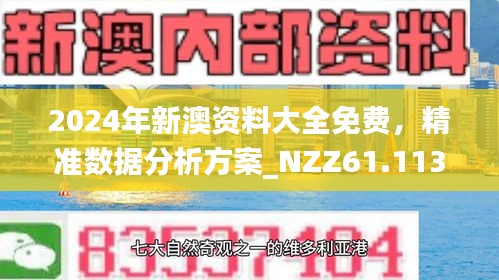 全面解析，2025年新澳正版资料查询方法与落实策略