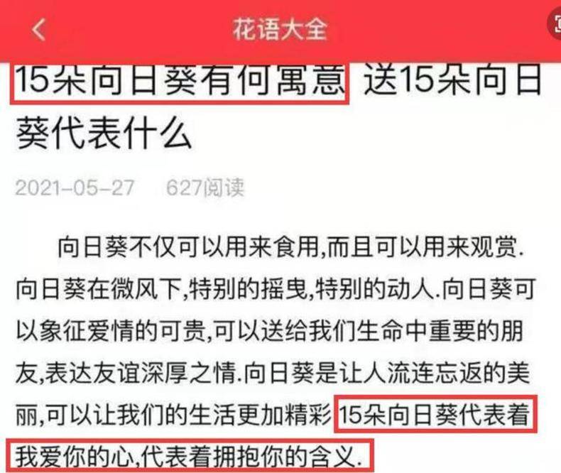迈向卓越之路，王中王一肖一中一特一中之路与细化任务落实到位的策略到2025年