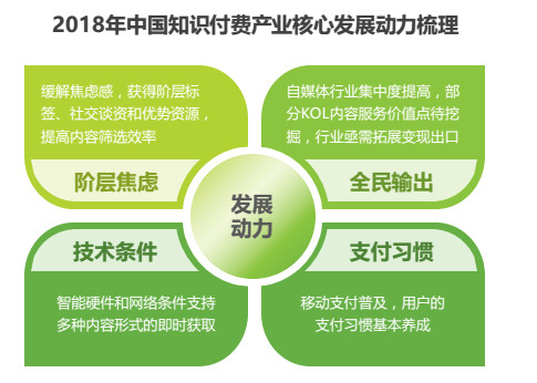 新奥管家婆资料2025年85期前沿解答与深度落实详解