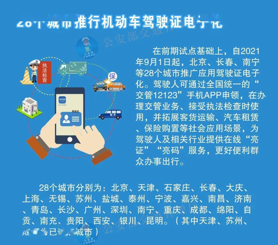迈向2025，全年免费资料大全的全面释义、解释与落实策略