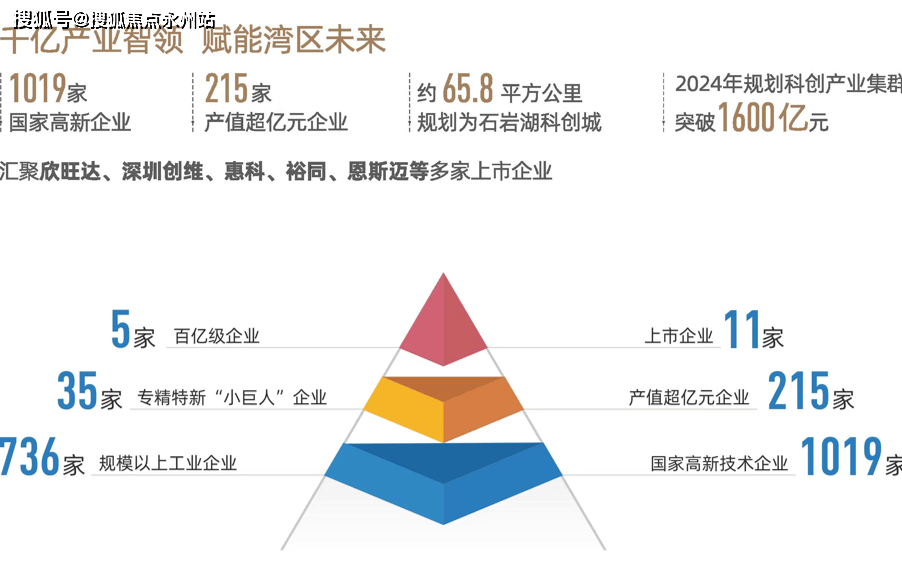 迈向2025年，全面推广正版资料免费资料大全的深度释义、解释与落实策略