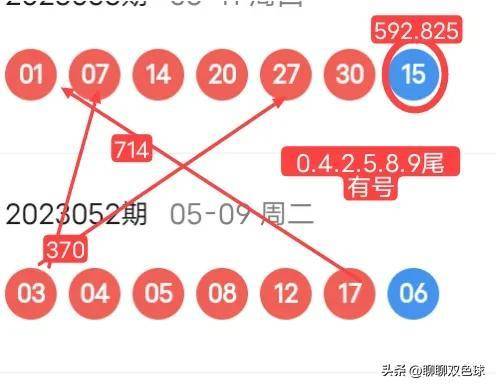 揭秘精准四肖，深度解读与实际应用探索