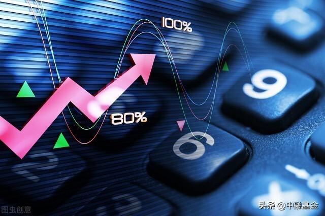 迈向2025，正版资料免费共享与中国特色信息资源的全面实现
