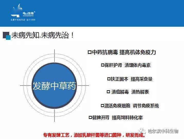 新奥精准精选免费提供，关键词释义与落实策略详解