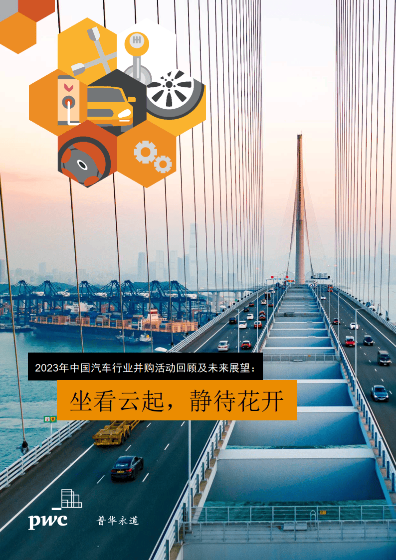 澳门天天好彩，精彩纷呈活动的未来展望（2025年展望）