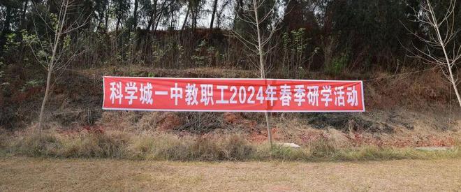 迈向卓越之路，王中王一肖一中一特一中2025细化任务落实战略