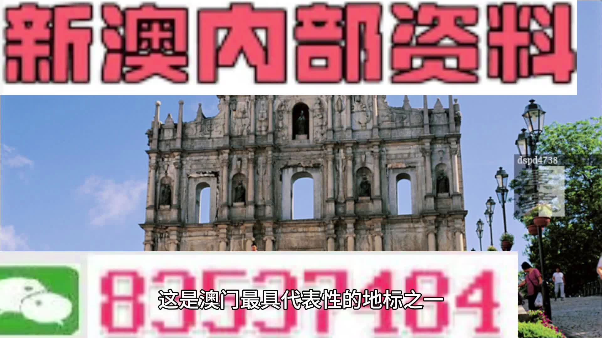 揭秘新澳门正版免费资料的查询方法，资料获取技巧分享