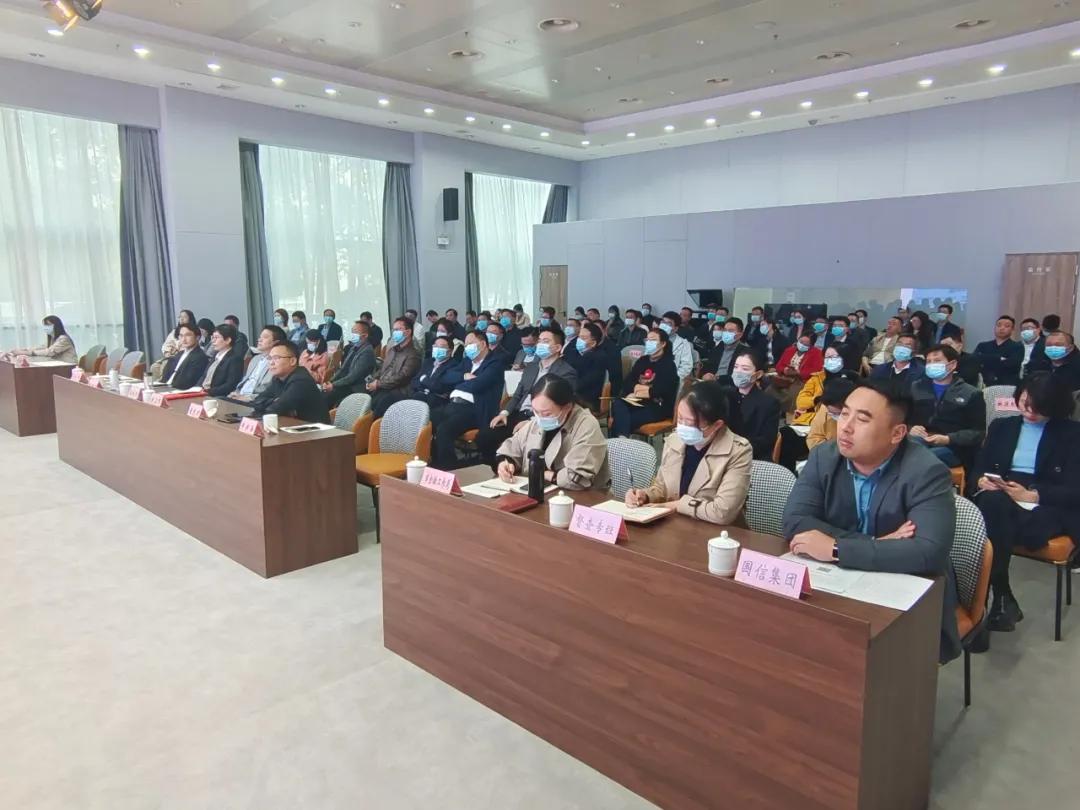 全面解析与落实，2025正版资料免费大全