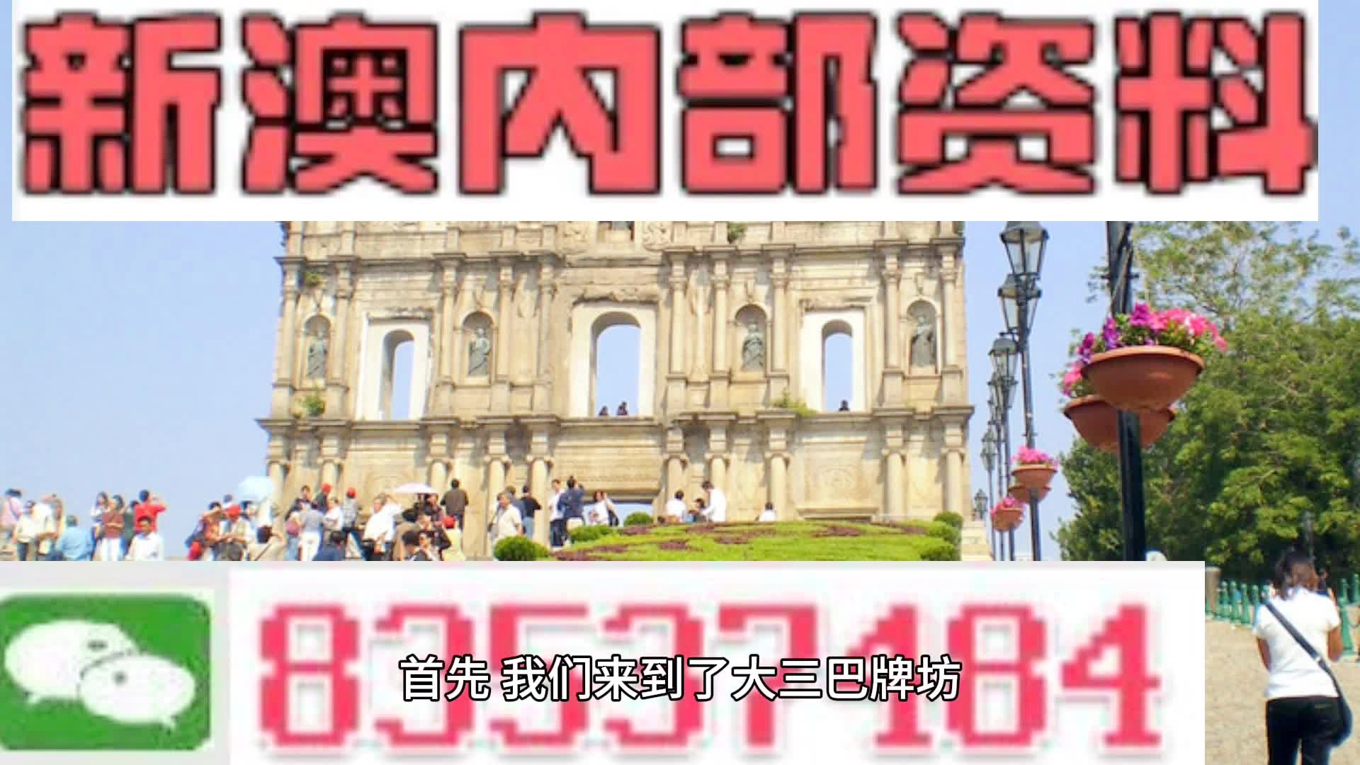 新澳门天天免费精准大全的全面解析与实施策略