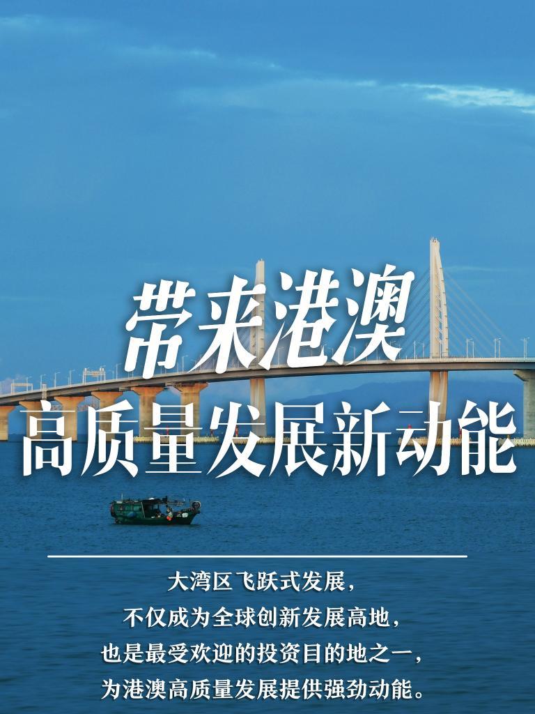 探索未来，澳门新机遇下的精准免费策略全面释义与落实