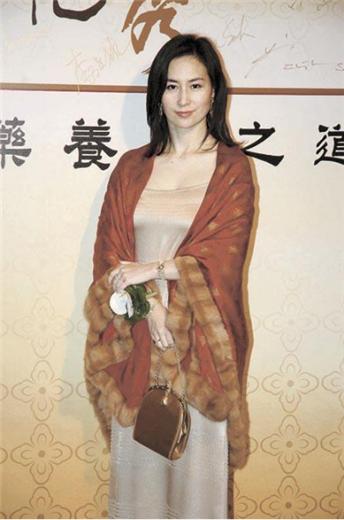 探索未来的新澳门与香港，正版免费正题的构建释义、解释与落实