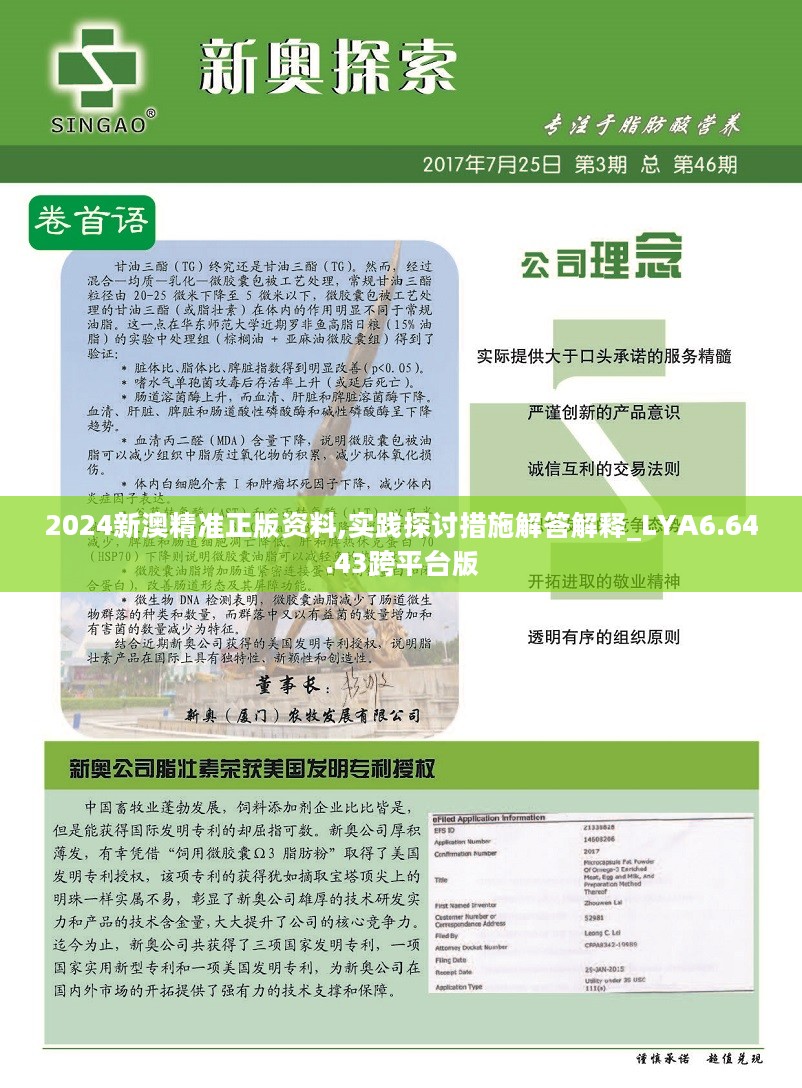 新澳2025年正版资料更新，全面释义解释与落实策略