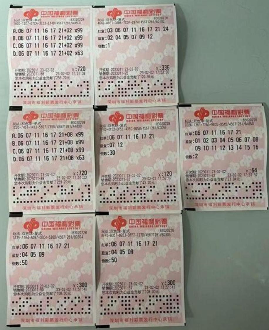 关于新澳天天正版资料大全的全面解答与解释落实—走进未来的彩票世界