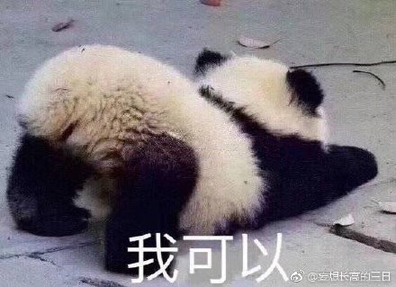 今晚必开一肖四不像图，深度解答与落实