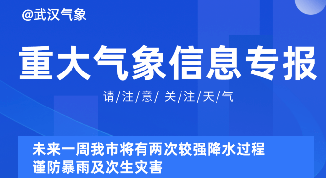 深度解读，2025新奥精准资料免费大全078期